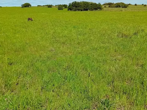 Chacra en Venta en Cañada Bellaca