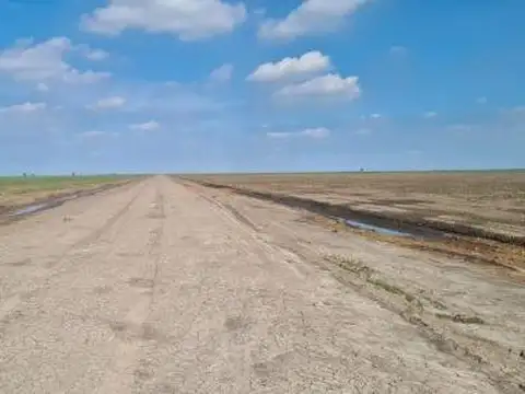 Campo en venta - 5.000 Hectáreas - Gato Colorado, 9 De Julio, Santa Fe