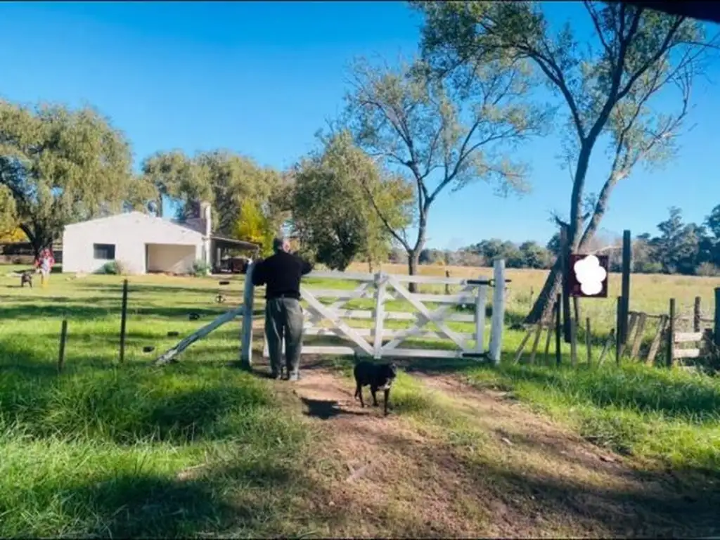 Campo - Venta - Argentina, Cañuelas - CALLE 100