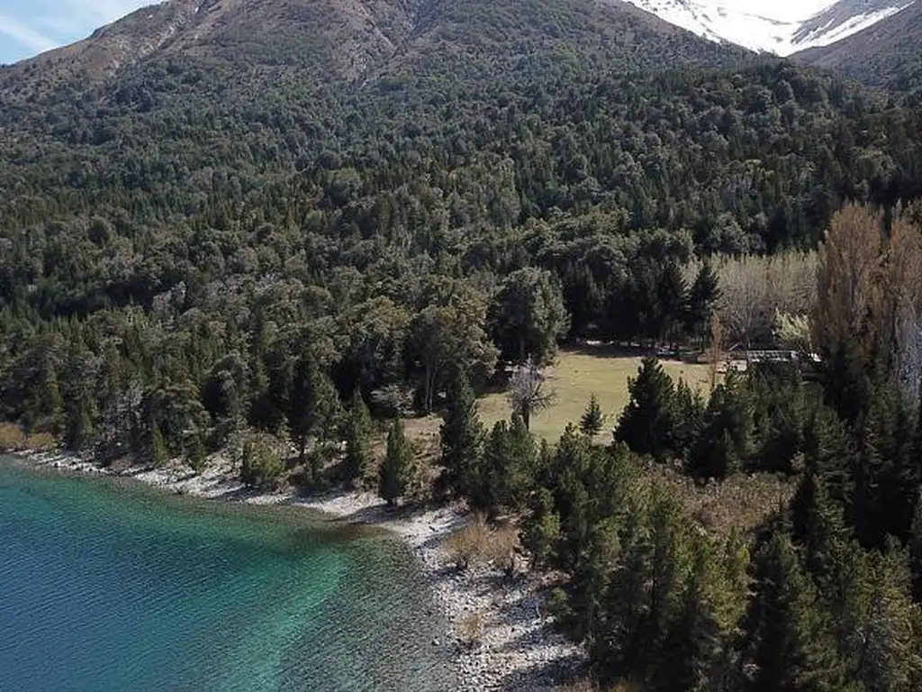 Campo con costa de Lago Nahuel Huapi. Huemul