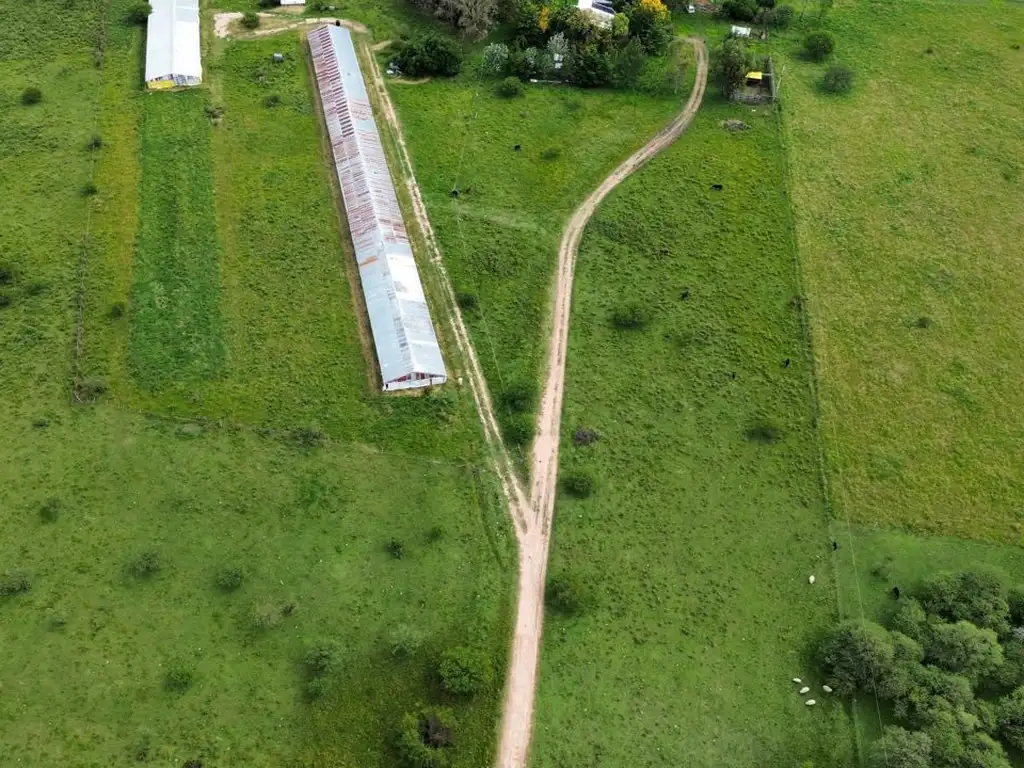 Vendo Campo de 6 Has con granja en San Justo, Entre Ríos.