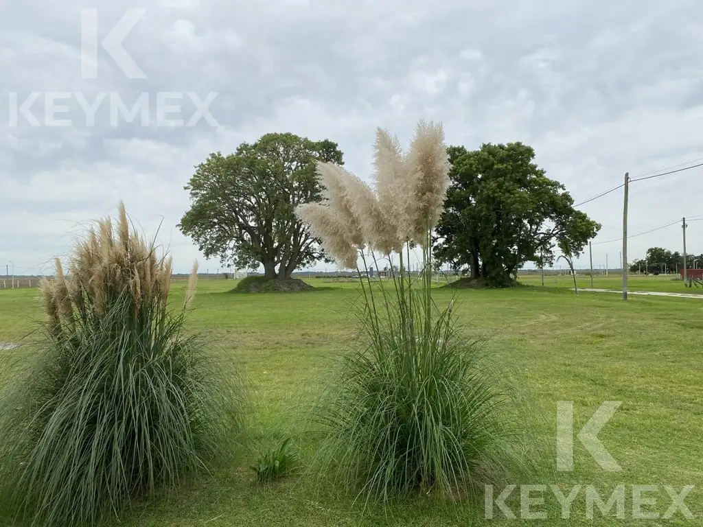 Lotes de 1000 m2 en Fincas La Soñada. La Hermosura