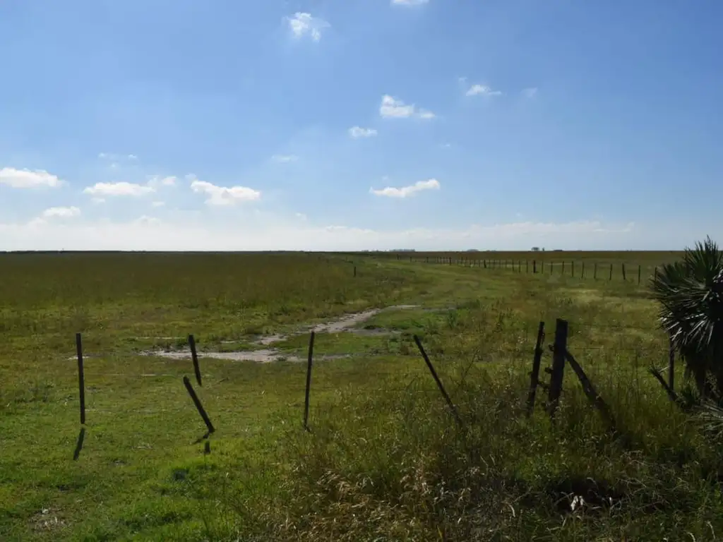 Campo en Rufino