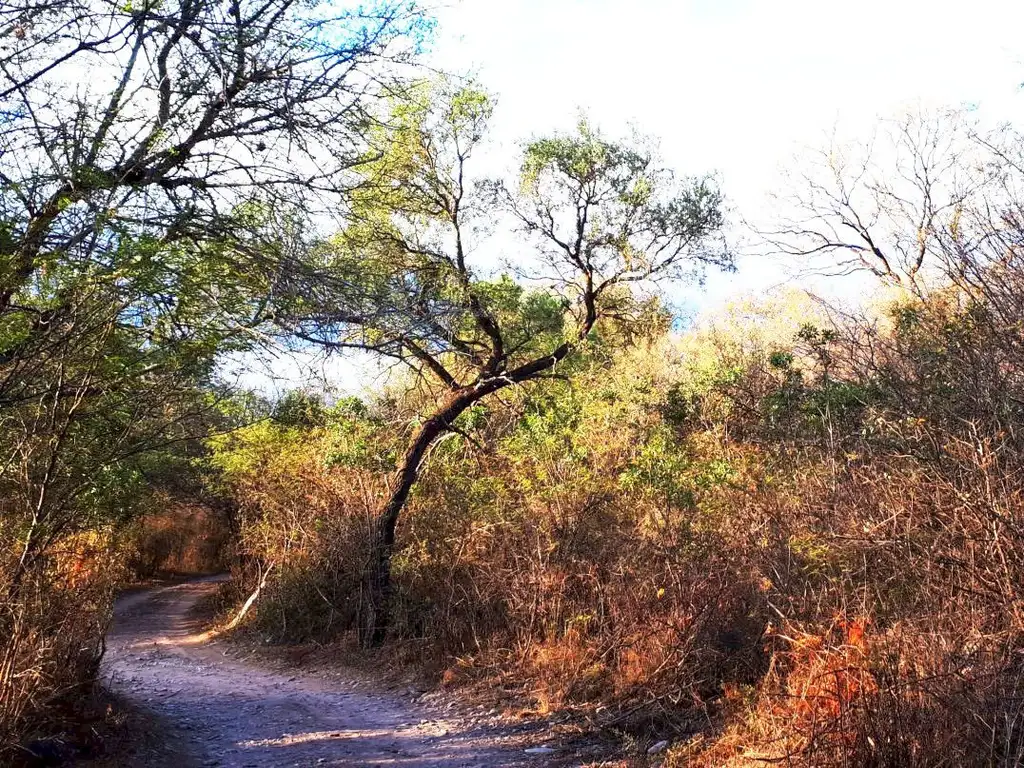 ALOJA - Vendo Lote de 6.000 m² en Las Vertientes, San Marcos Sierras