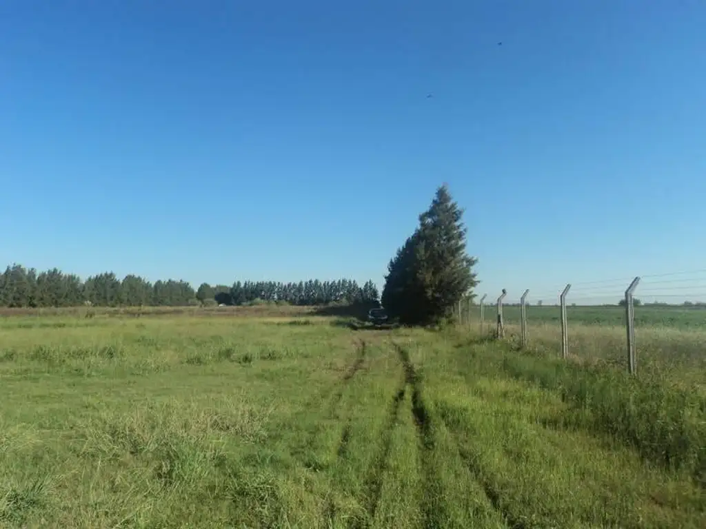 CAMPO 17 HECTÁREAS A 20 KM DE ROSARIO en La Carolina