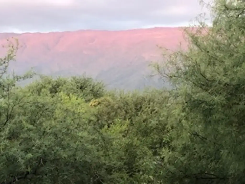 Terreno en venta en Los Molles. Arboleda autóctona