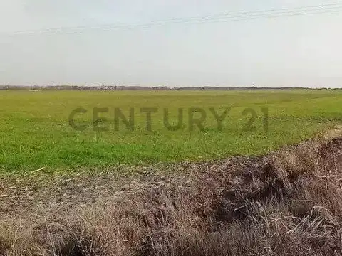 Campo en venta