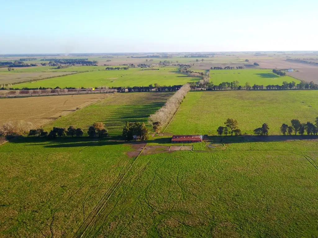 Campo sobre Ruta 8 (Autopista)