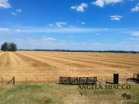 Campo en Solis