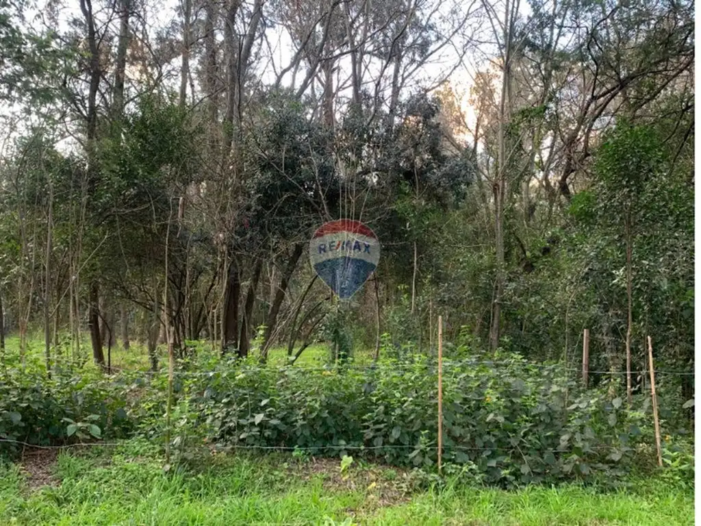 Venta Terreno en Yaros, El Ensueño, Santa Ana.