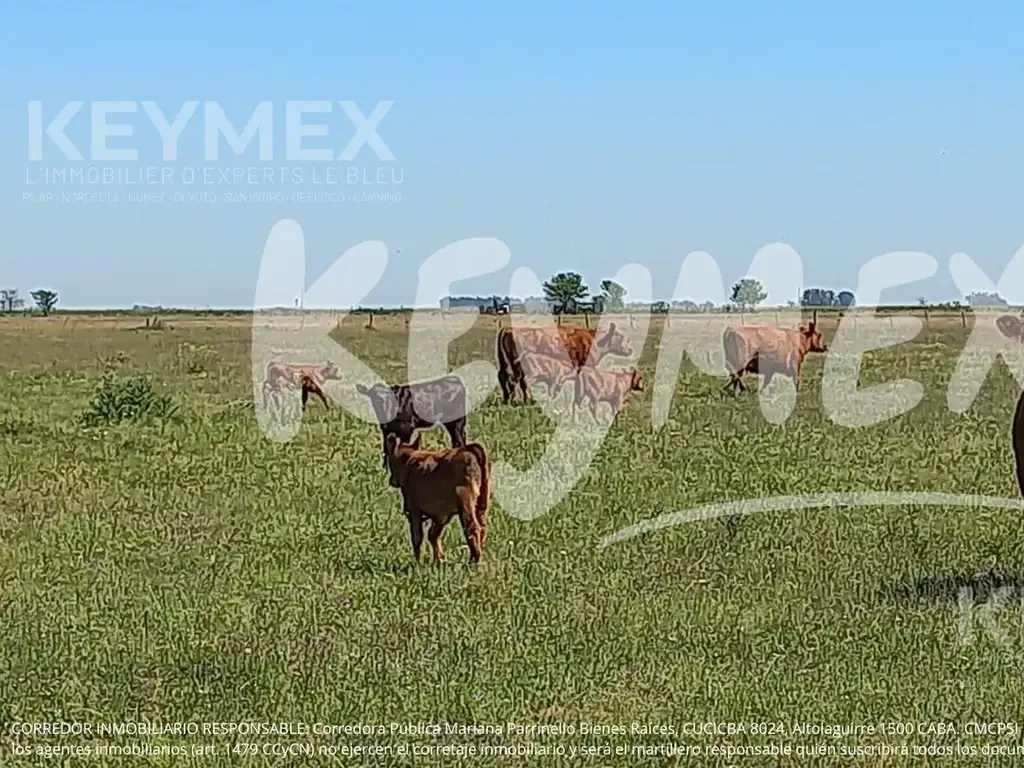 Campo en de 127 hectareas en General Belgrano, Buenos Aires