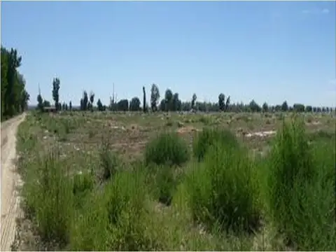 LICITACIÓN ABREVIADA MEJORA DE OFERTAS-FRACCIONES RURALES, EL CARRIZAL, MENDOZA