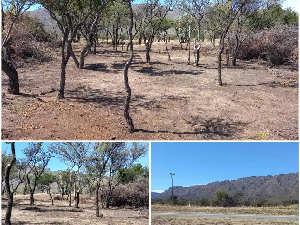 TERRENO UNICO EN LA ZONA ENTRADA CHORRO SAN IGNACIO