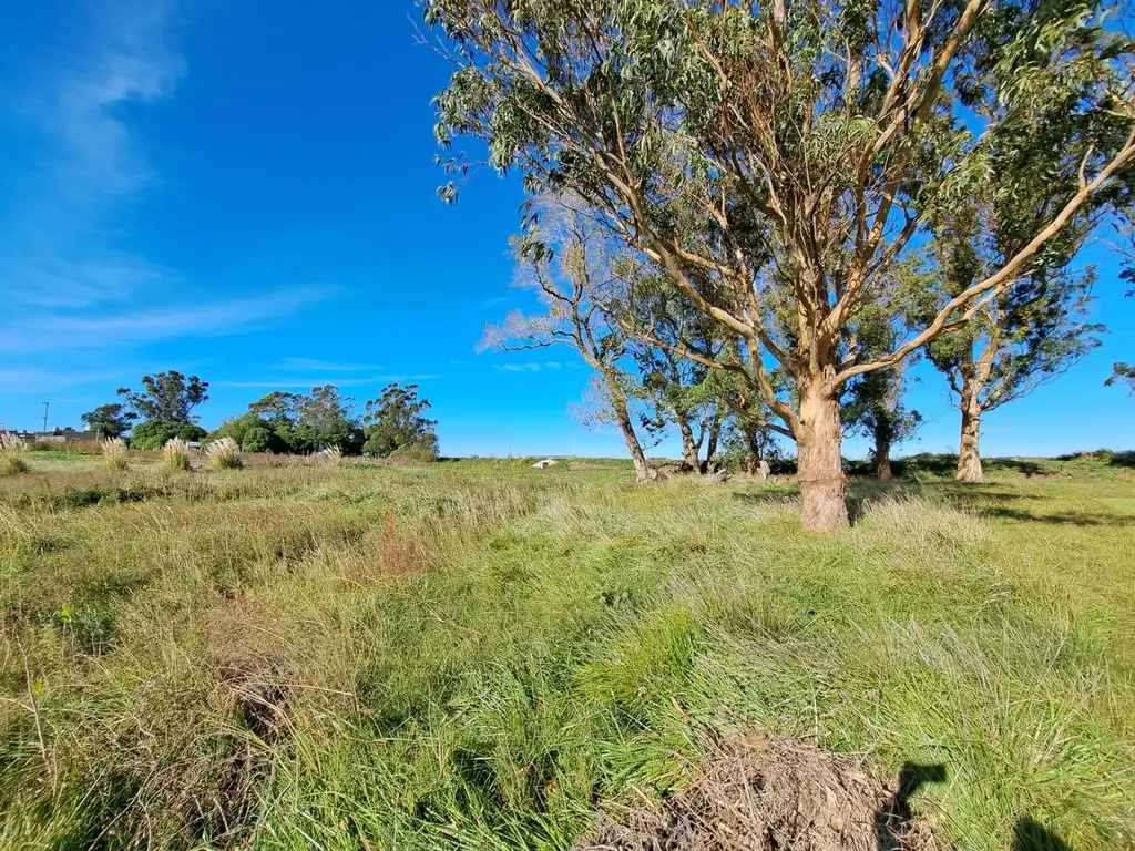 Terreno / Lote en venta de 473m2 ubicado en Los Acantilados