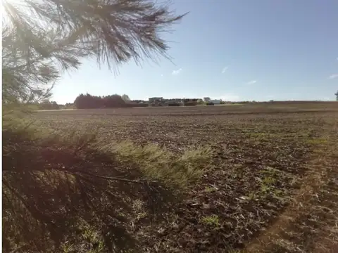 FRACCION DE CAMPO SOBRE RUTA 226 - SIERRA DE LOS PADRES - BU