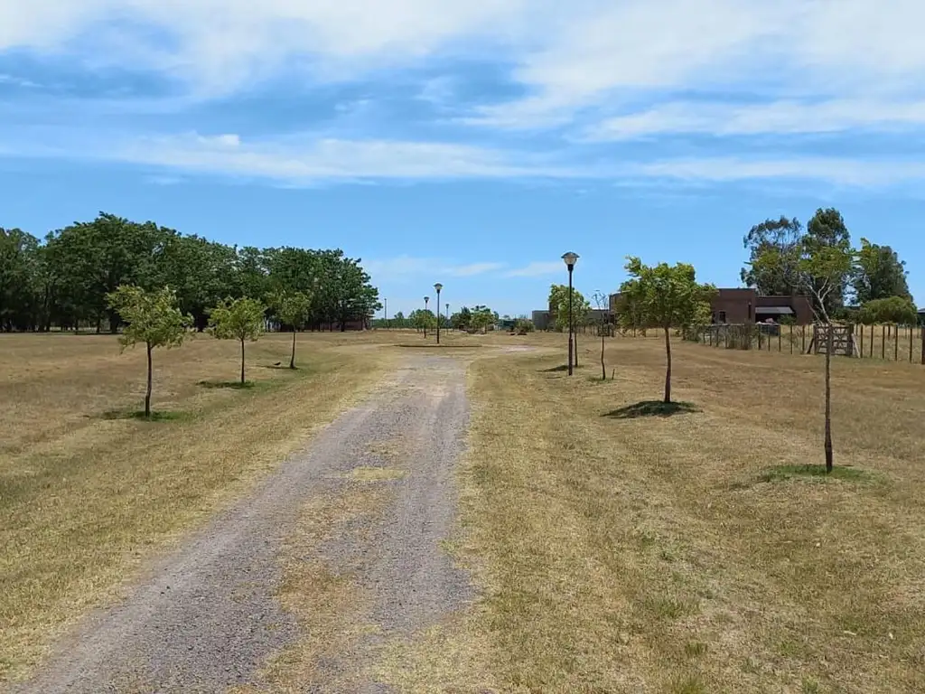 Venta de Terreno en Brandsen