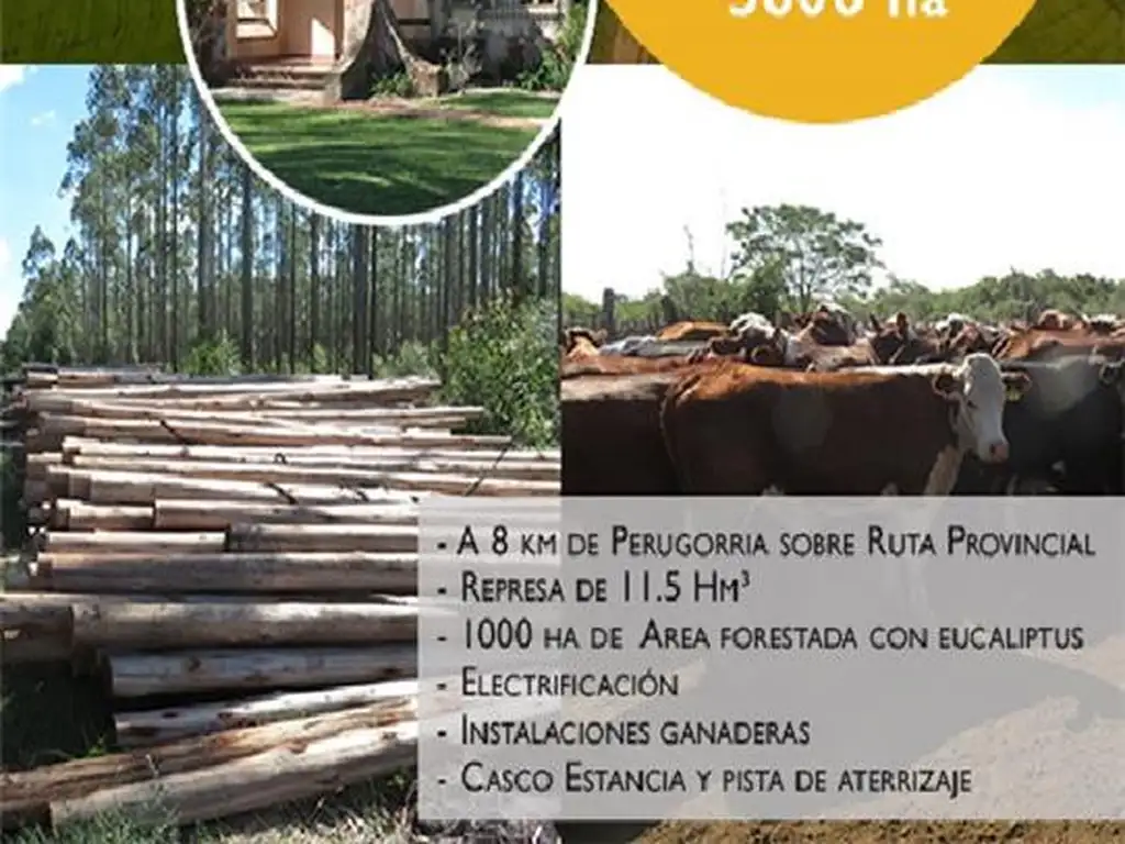 PROPIEDADES RURALES - MIXTO - PERUGORRÍA