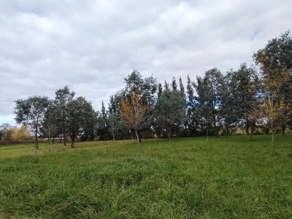 Lote - Venta - Argentina, La Plata