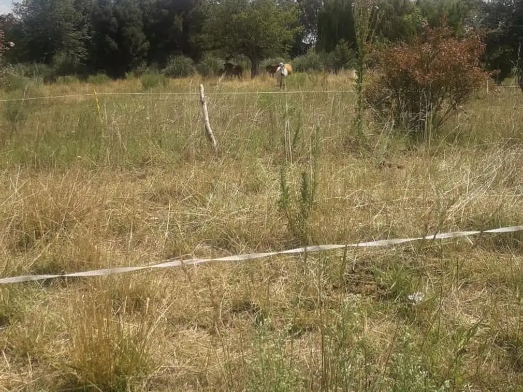 6 Hectareas con casa y galpón