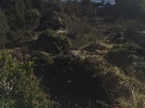 Terreno - San Martin De Los Andes