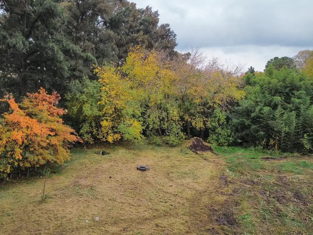 TERRENO EN LA ESMERALDA, NUEVO EMPRENDIMIENTO EN YEI PORA