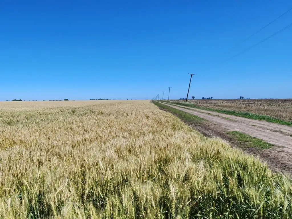 Campo 89 hectereas Sobre Camino Real