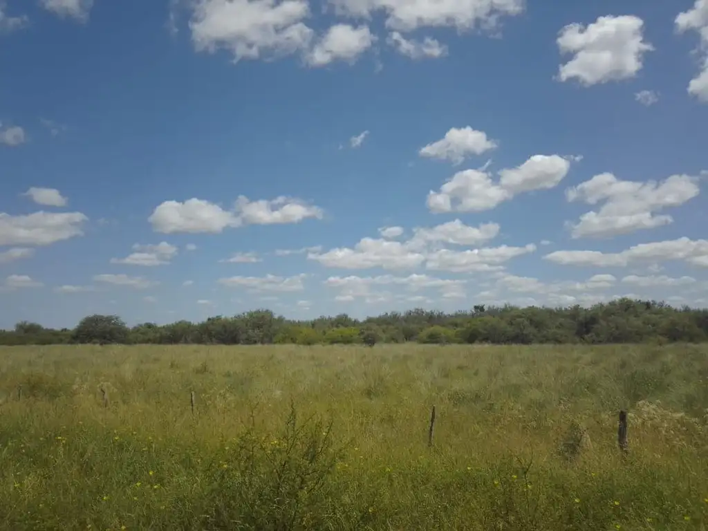 ALQUILER O VENTA DE CAMPO GANADERO EN LA CABRAL