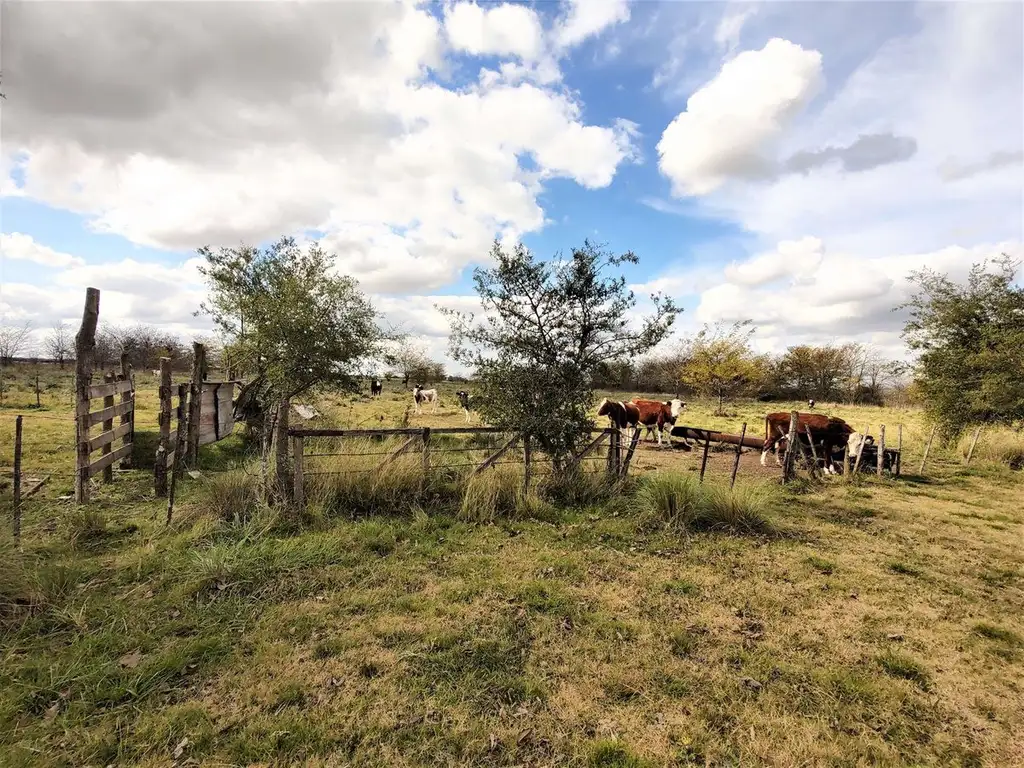 VENTA DE CAMPO EN MARCOS PAZ 43 HECTAREAS