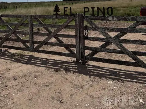 Venta de Campo en  Chascomus
