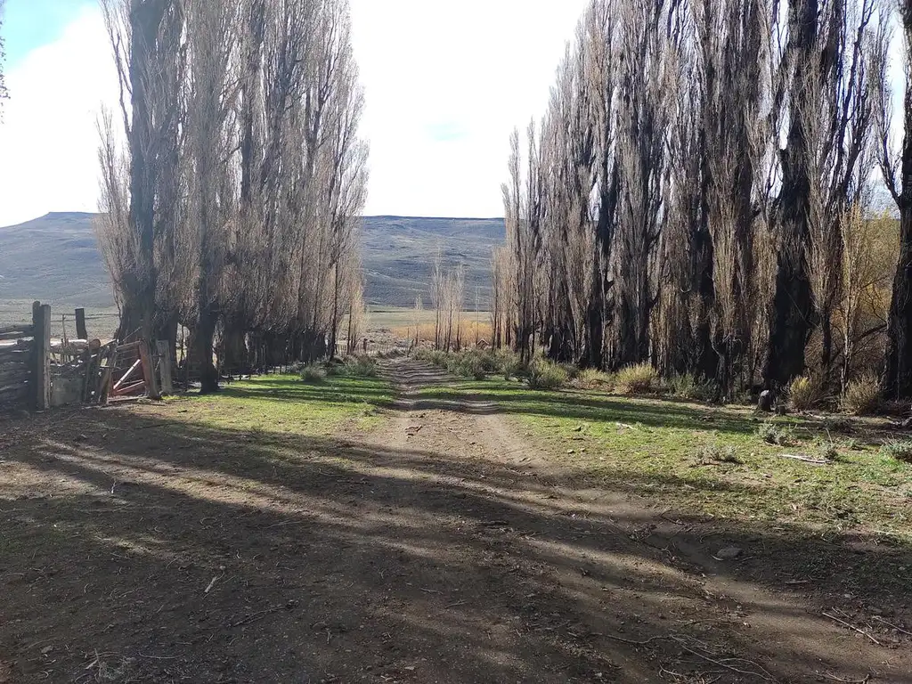 Campo en Venta - Espinazo Del Zorro - Aluminé