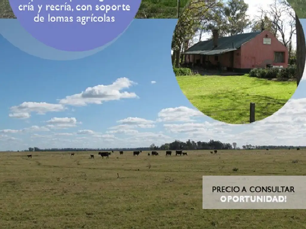 PROPIEDADES RURALES - CRIA - UDAQUIOLA