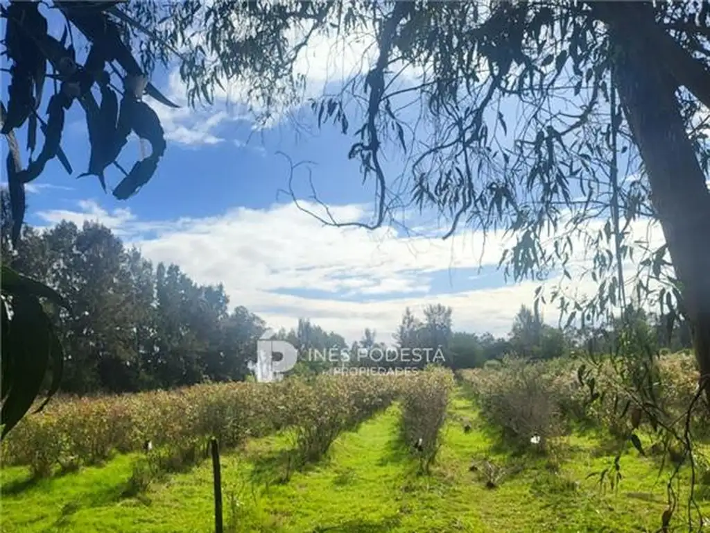 PROPIEDADES RURALES - CHACRA - MALDONADO