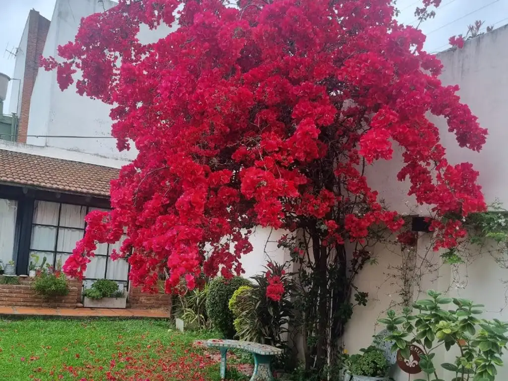 HERMOSO TIPO CASA TODO EN PLANTA BAJA ( SOLO 2 UNIDADES) CON PARQUE Y QUINCHO