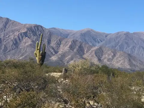 26 h en Alto Valle de Tolombon, zona prominente de viñedos