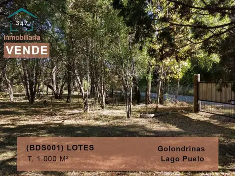 (BDS001) LOTES 1.000 mts2 C/ construccion en Golondrinas