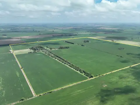 215 Has. Campo agrícola con casco en Baradero