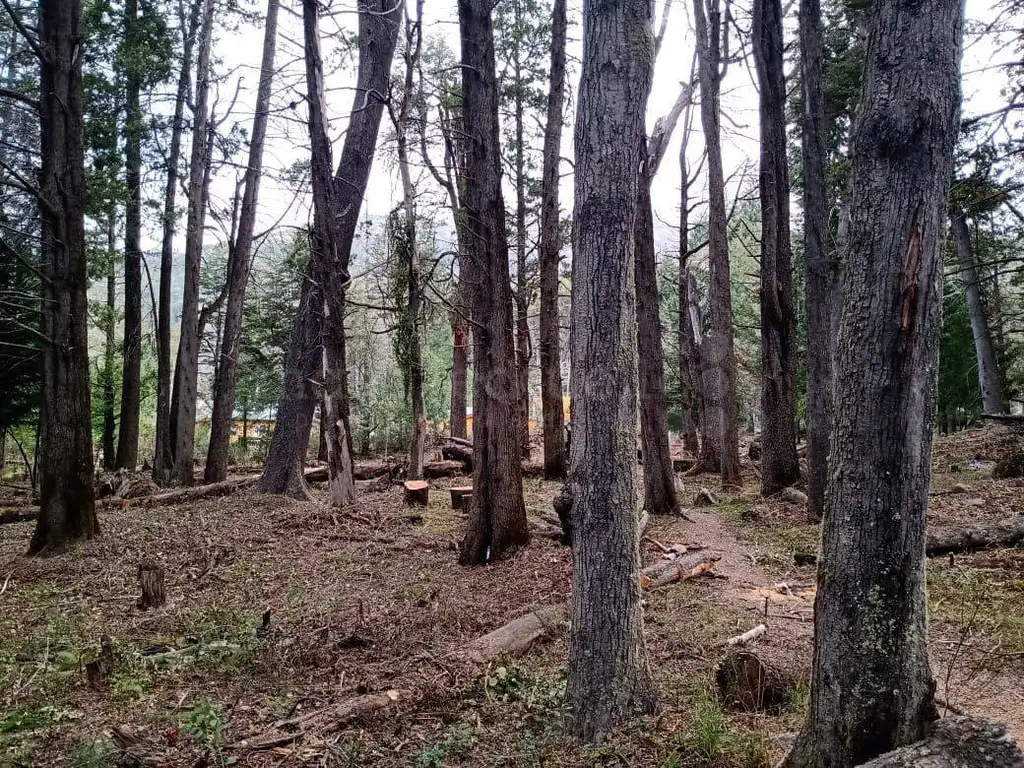 VENTA DE LOTE ARBOLADO EN VILLA TRAFUL PATAGONIA ARGENTINA