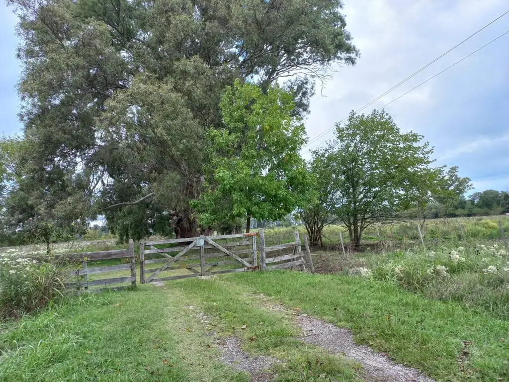 Terrenos desde 1500 m2 - FINANCIACION - Exaltacion de la Cruz - Parada Robles