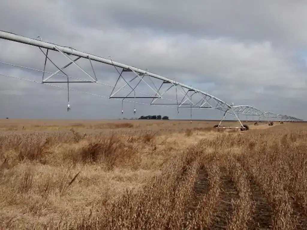 Excelente estancia, agrícola, ganadero y forestal