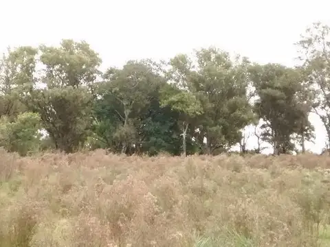 Campo en Venta en Arroyo Baru