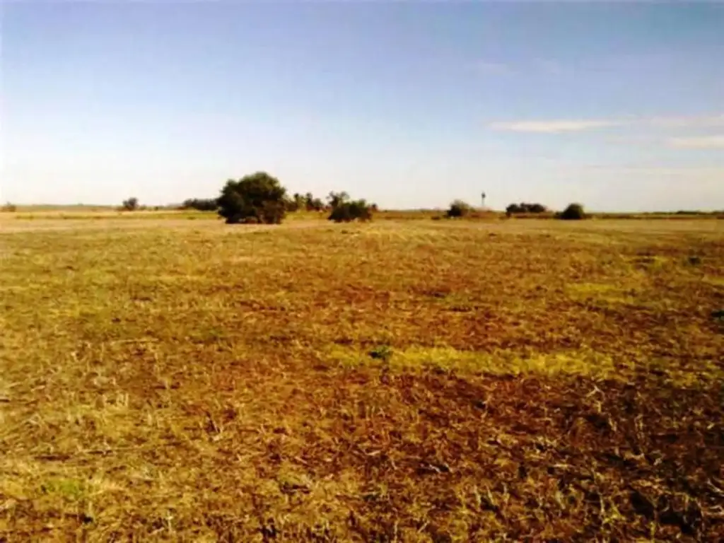 campo venta Ranchos