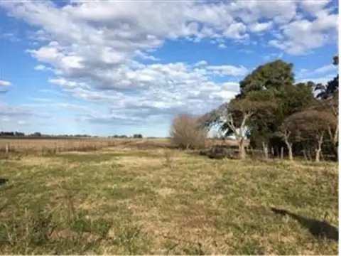 Campo en Venta agricola ganadero