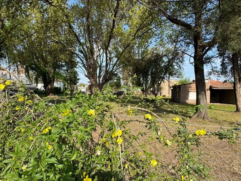 VENTA LOTES EN VILLA MOQUEHUÁ PARTIDO DE CHIVILCOY