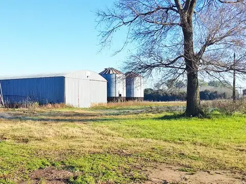 Campo mixto en Arequito Santa Fé. 595 Has.