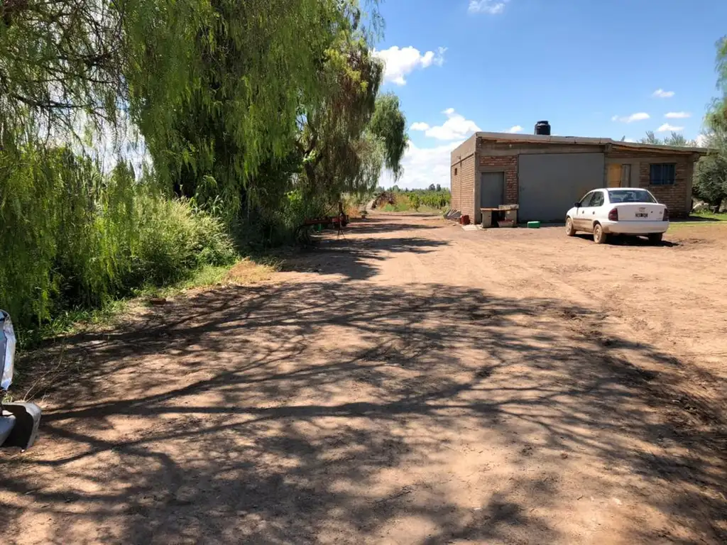 Finca en venta, El Borbollon, Mendoza.