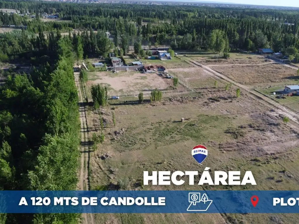 VENTA HECTAREA EN PLOTTIER A 120 MTS DE CANDOLLE