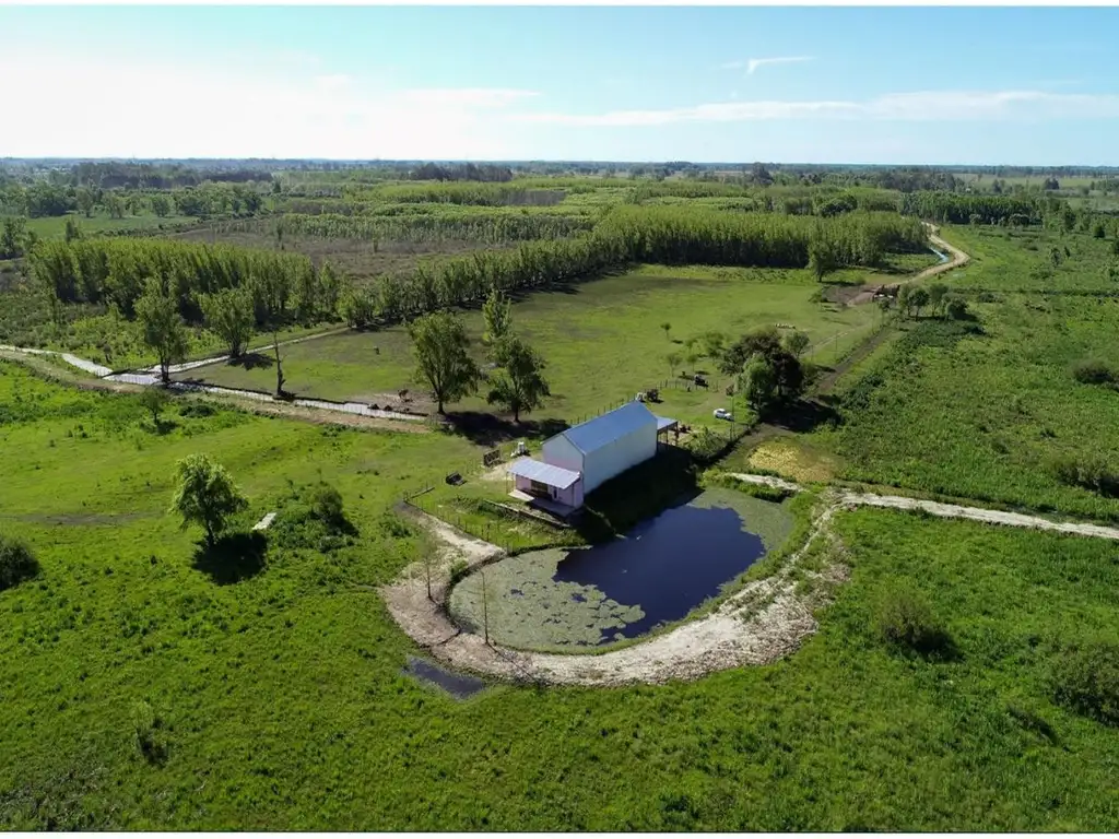 Vendo campo 340ha, Estancia productiva, Entre Rios