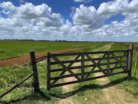 Venta Campo en Luis Palacios San Lorenzo