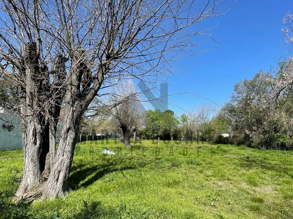 Terreno Lote  en Venta en Pellegrini III (Villa Rosa), Pilar, G.B.A. Zona Norte