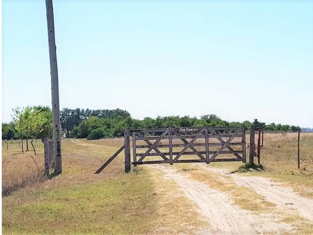 Campo en San Vicente